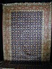 fl-qum-silk01-10x7 t-5500.JPG