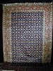 fl-qum-silk01-10x7 t-5500.JPG